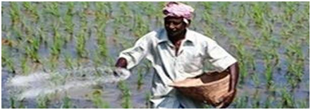 Puducherry, Telangana, Punjab tops in fertilizer consumption