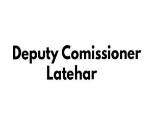 deputy comissioner